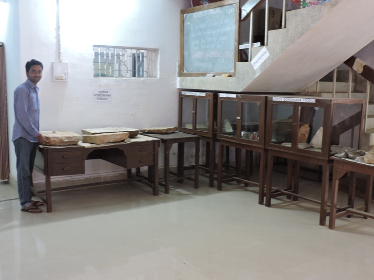 Gondwana fossils at display in the corridor
