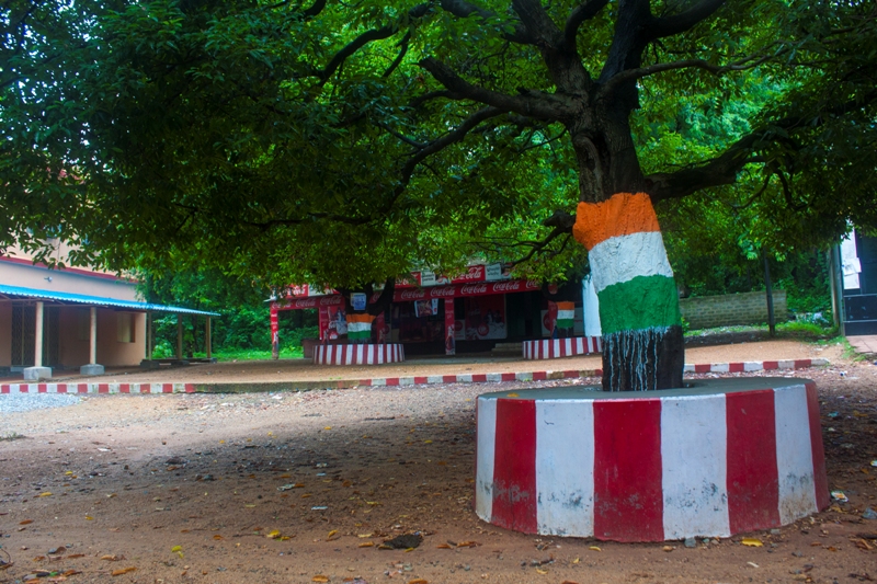 Sambalpur University Miscellenious