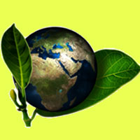 Environmental Science